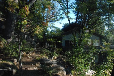 View of house from backyard