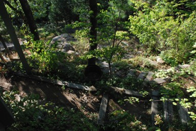 View of terraced gardens and steps