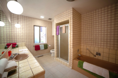 Master bath with tub and shower