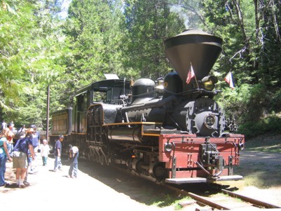 View of The Logger steam train